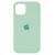 Silicone case iPhone 11 Pro spearmint 23149 фото