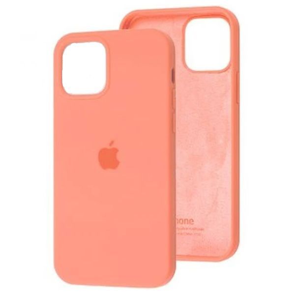 Silicone case Full iPhone 12/12 Pro watermelon 28572 фото