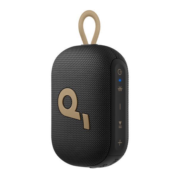Колонка Bluetooth ANKER SoundСore Select 4 Go Golden UA 43493 фото