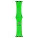 Ремінець Apple watch 38/40/41/SE silicone green 26981 фото 1