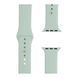Ремінець Apple watch 38/40/41/SE silicone pistachio 40801 фото 1