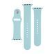 Ремінець Apple watch 38/40/41/SE silicone turquoise 21802 фото 2