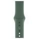 Ремінець Apple watch 38/40/41/SE silicone pine green 34347 фото 1