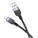 Cable Hoco Type-C to Type-C X109 60w 3m black 39674 фото 2