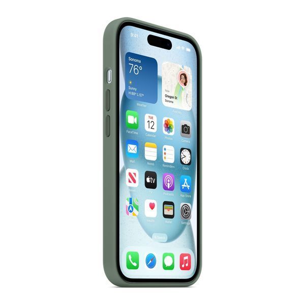 Silicone case iPhone 13 Pro with MagSafe eucalyptus 33891 фото