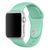 Ремінець Apple watch 42/44/45mm silicone cactus 34345 фото