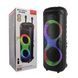 Колонка BIG Bluetooth Sing-e ZQS10215 з RGB-підсвічуванням + 2 мікрофон black 38916 фото 3