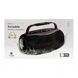 Колонка Bluetooth Hopestar H80 80W/IPX6/8800mAh green 45583 фото 1