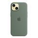 Silicone case iPhone 13 Pro Max with MagSafe eucalyptus 33682 фото 1