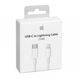 USB-C Cable lightning or white 03178 фото 1