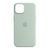 Silicone case iPhone 14 Pro with MagSafe succulent 42081 фото