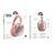 Навушники Big Bluetooth Hoco Apple AirPods W35 MAX pink 37222 фото