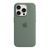 Silicone case iPhone 15 Pro with MagSafe cypress 33693 фото