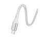 USB Cable Hoco Type-C X98 3A 1m silver 33925 фото 1