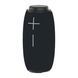 Колонка Bluetooth Hopestar P31 black 32264 фото 1