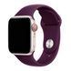 Ремінець Apple watch 38/40/41/SE silicone eggplant 46962 фото 2