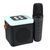 Колонка Bluetooth A9 2 мікрофона дитяче караоке black 43182 фото