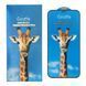 Скло Giraffe Anti-Static Xiaomi RedMi 6/6A black 34642 фото 1