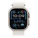 Apple Watch Ultra 2 49mm silver 33949 фото 2