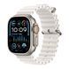 Apple Watch Ultra 2 49mm silver 33949 фото 1